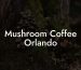 Mushroom Coffee Orlando