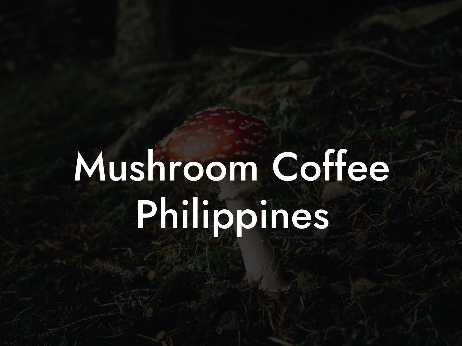 Mushroom Coffee Philippines