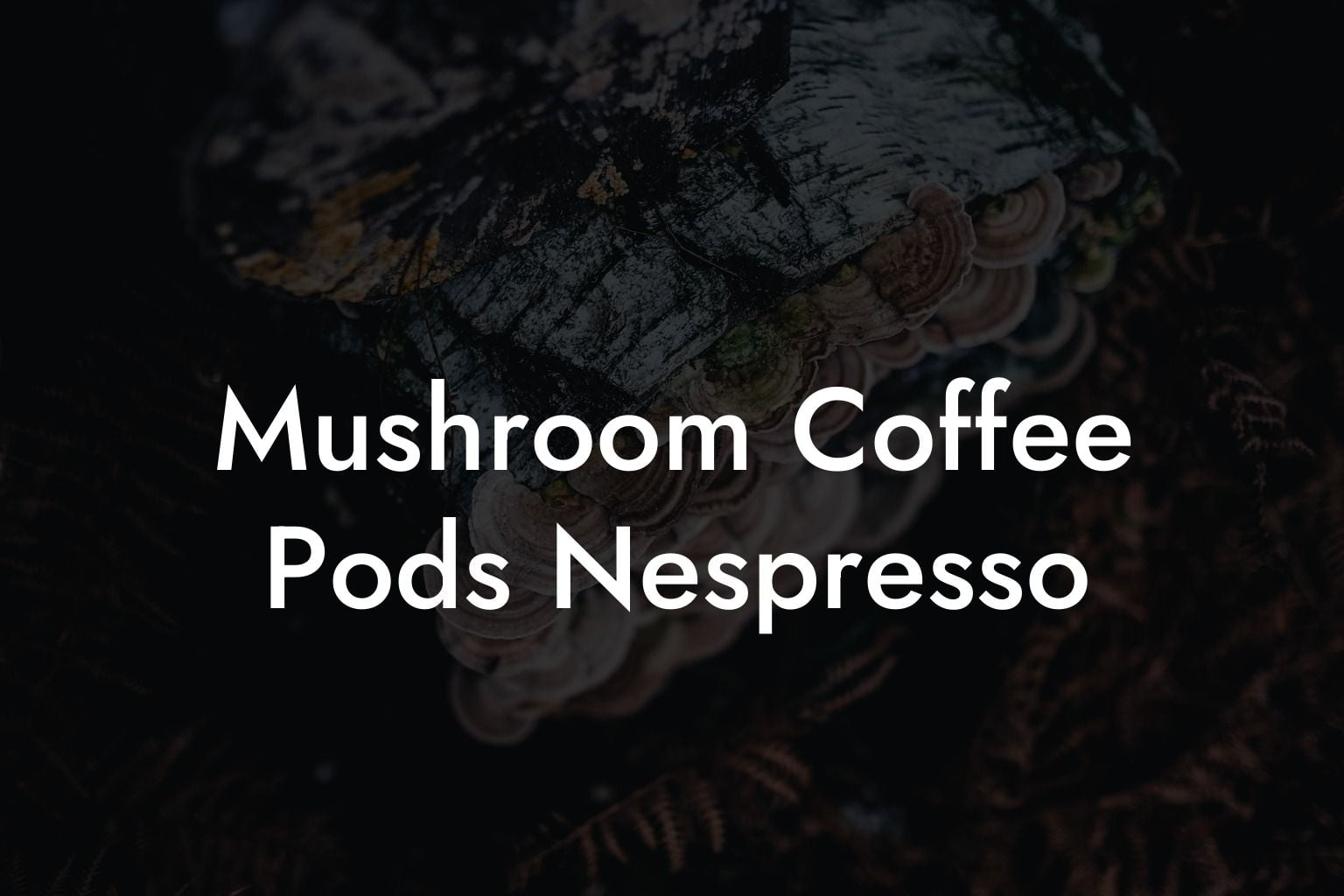 Mushroom Coffee Pods Nespresso