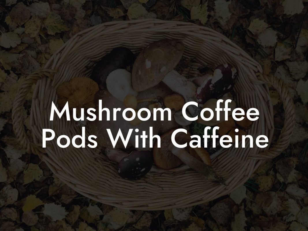 Mushroom Coffee Pods With Caffeine