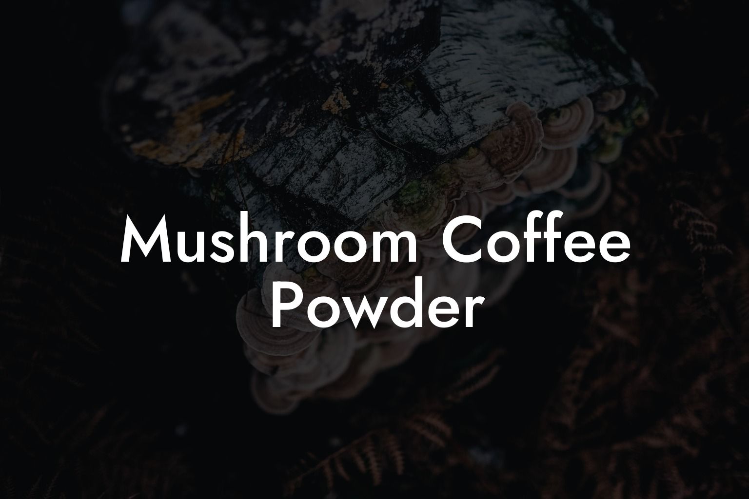 Mushroom Coffee Powder