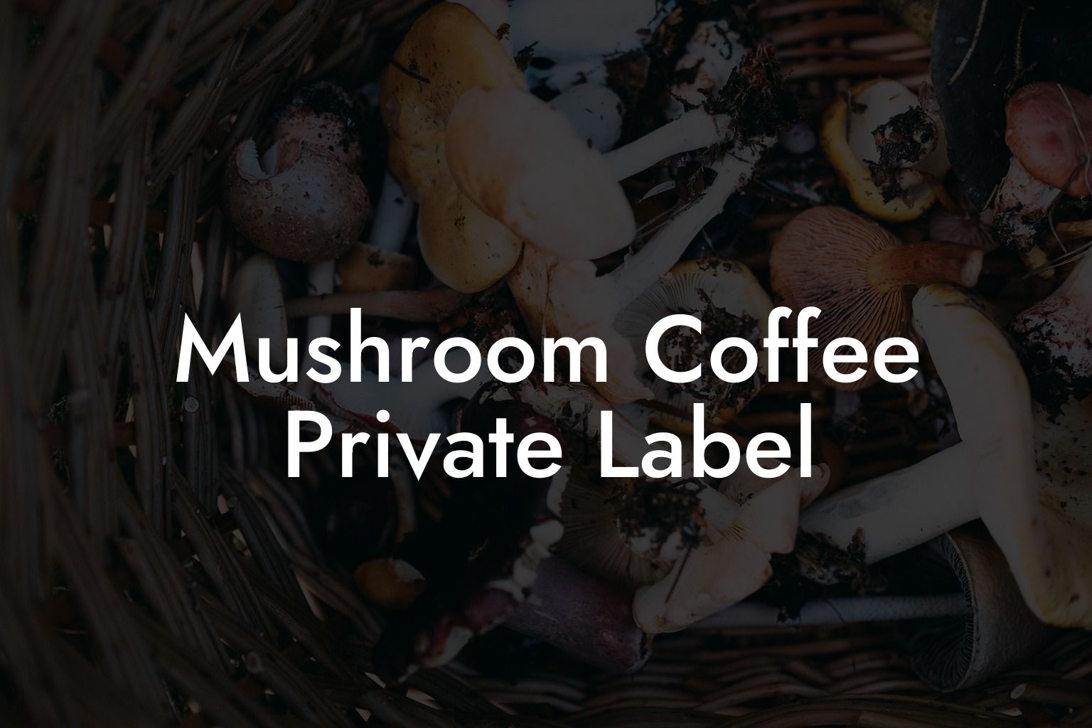 Mushroom Coffee Private Label