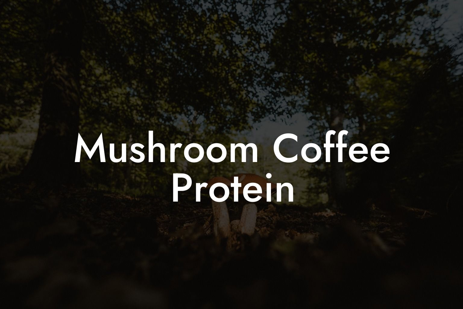 Mushroom Coffee Protein