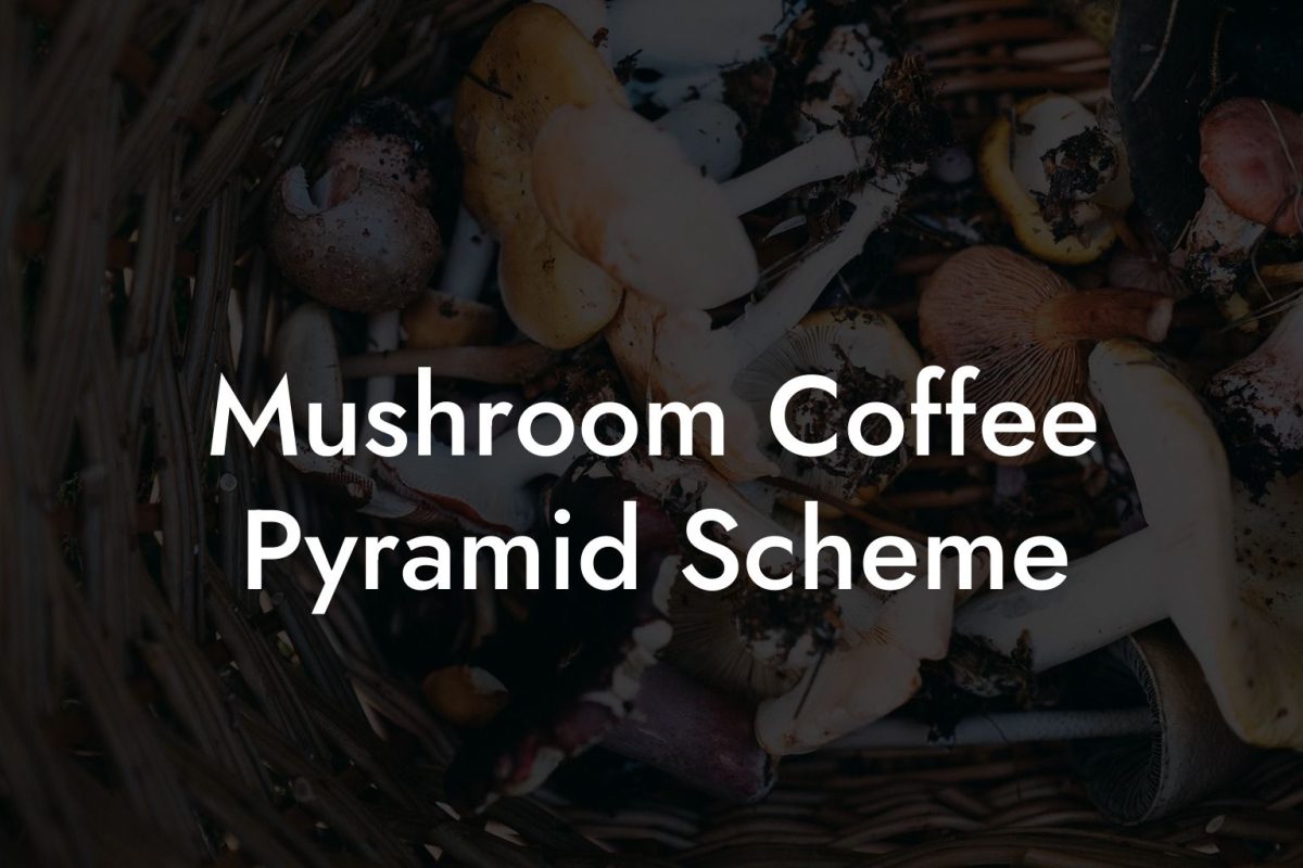 Mushroom Coffee Pyramid Scheme