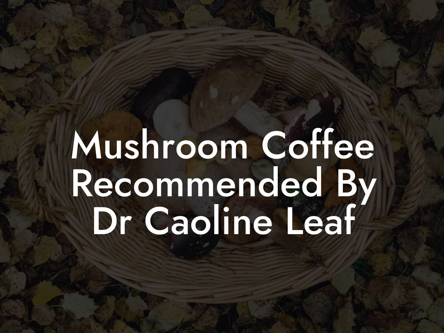 Mushroom Coffee Recommended By Dr Caoline Leaf