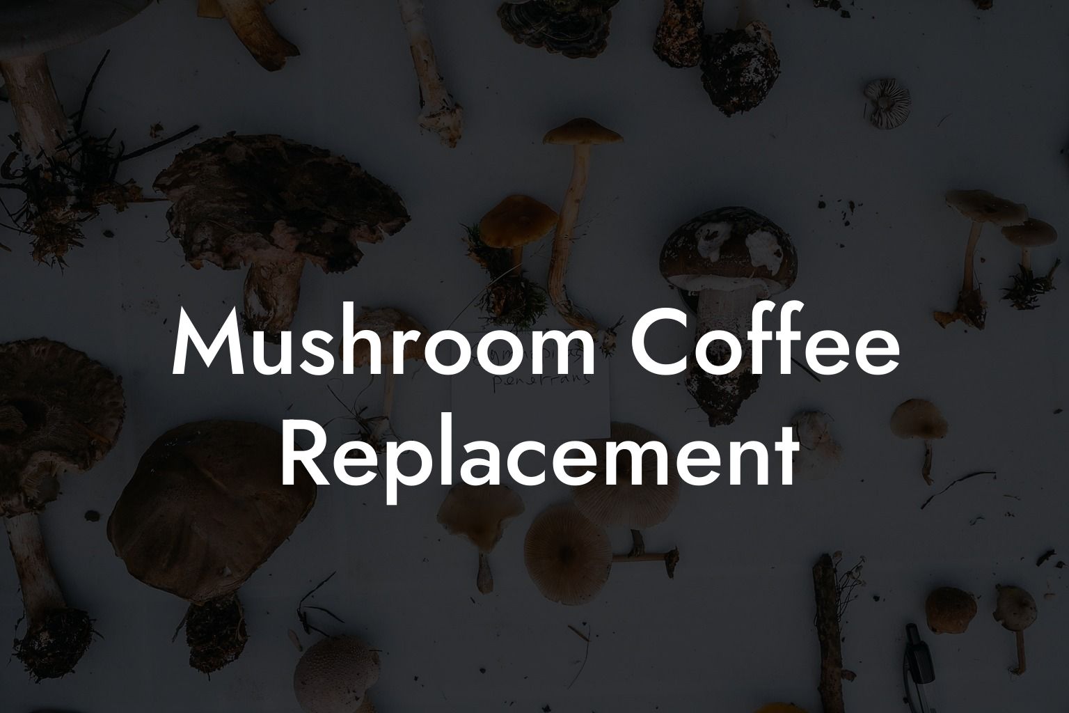 Mushroom Coffee Replacement