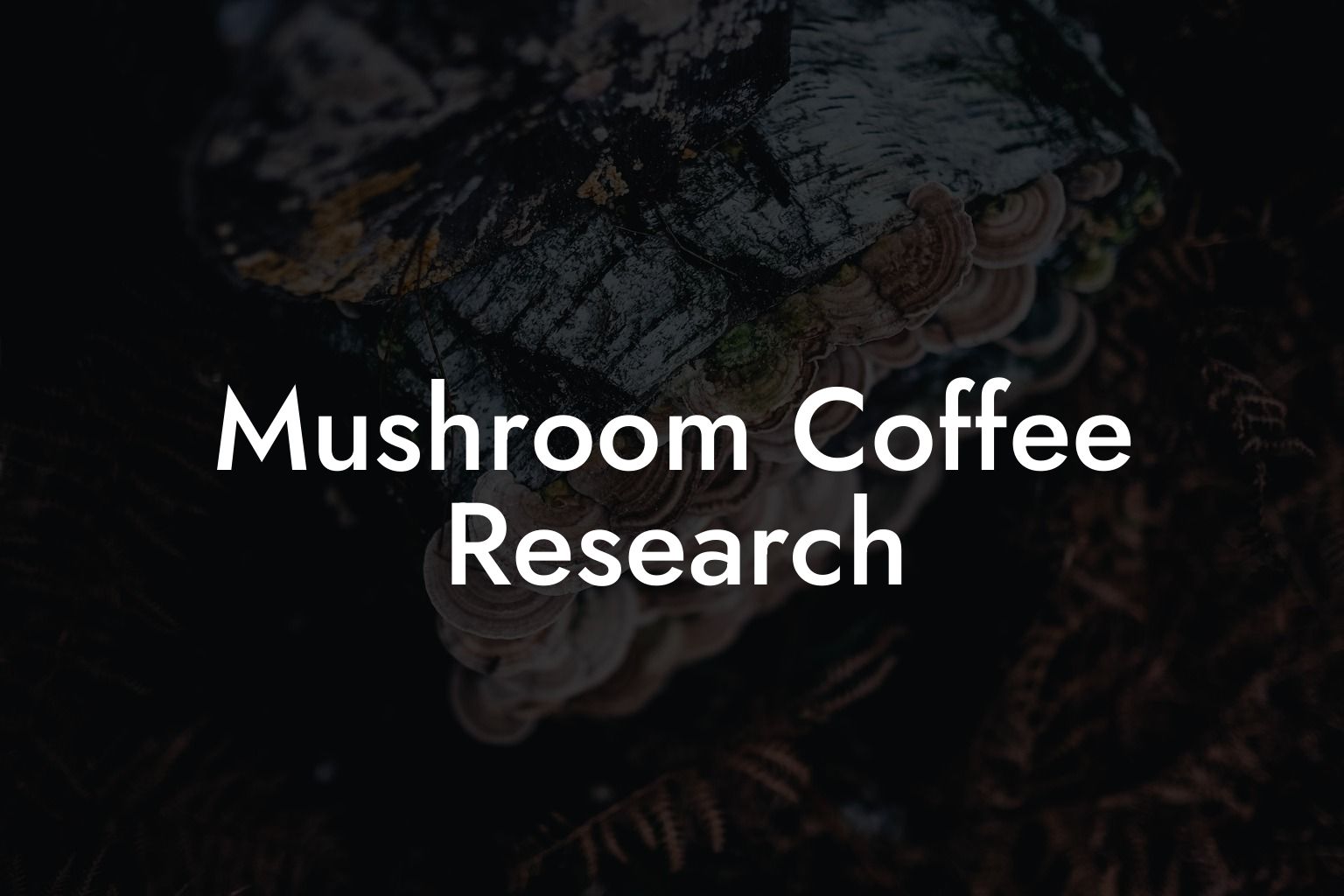 Mushroom Coffee Research