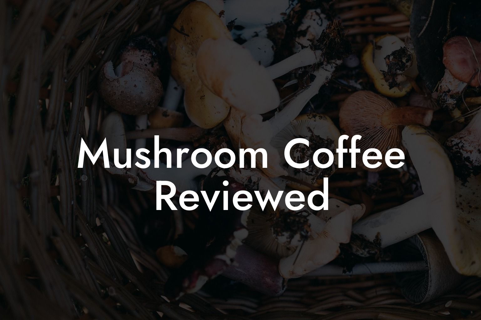 Mushroom Coffee Reviewed