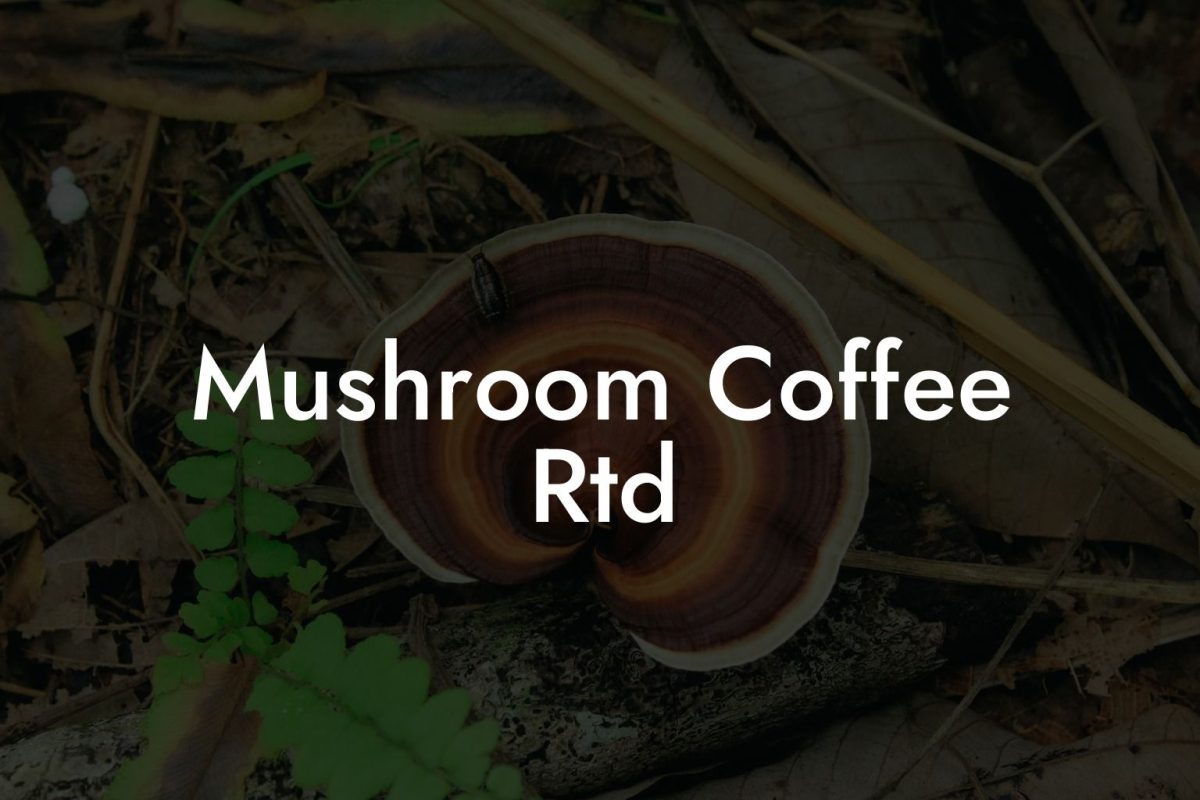 Mushroom Coffee Rtd