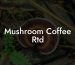 Mushroom Coffee Rtd
