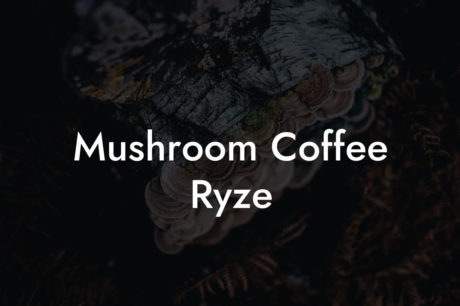 Mushroom Coffee Ryze
