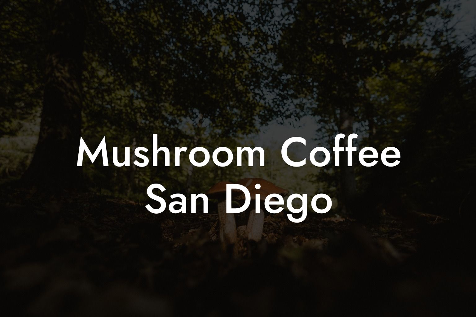 Mushroom Coffee San Diego