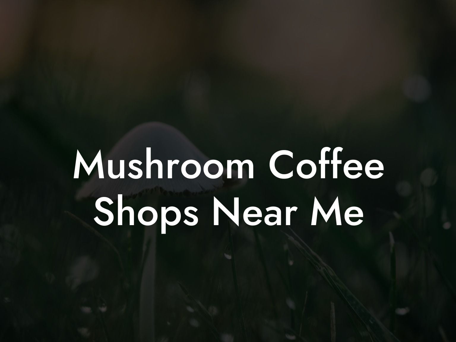 Mushroom Coffee Shops Near Me