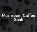 Mushroom Coffee Soak