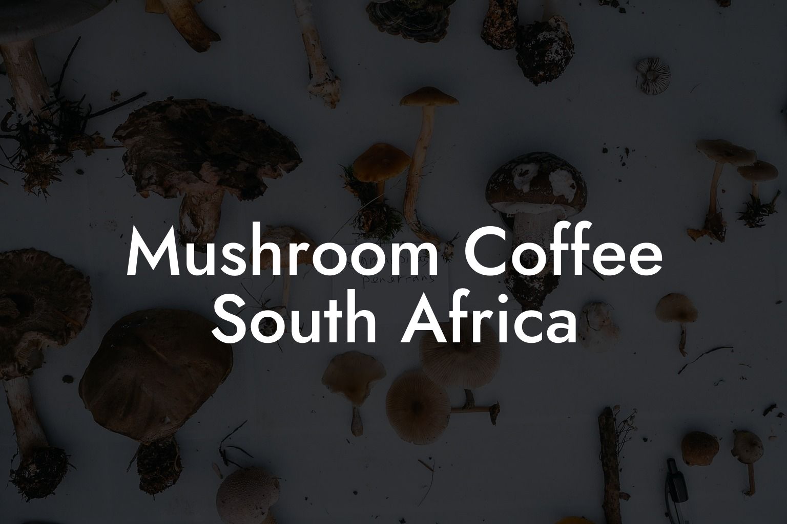 Mushroom Coffee South Africa