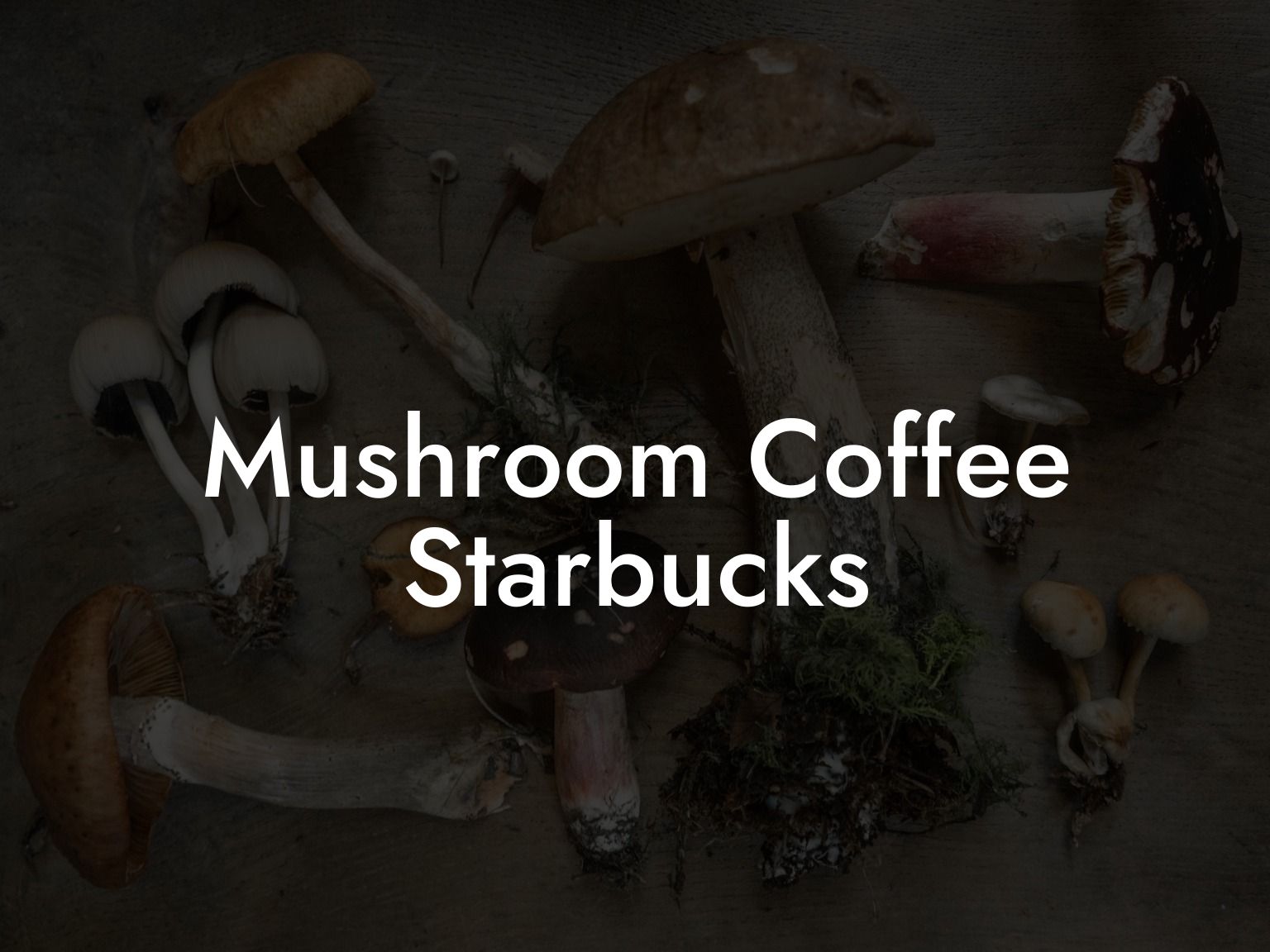 Mushroom Coffee Starbucks