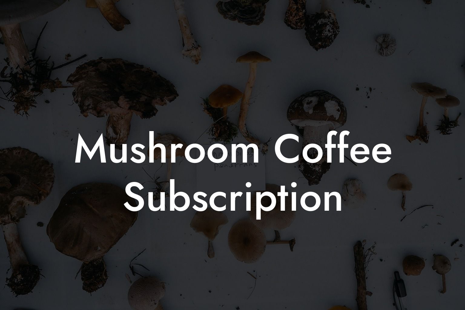 Mushroom Coffee Subscription