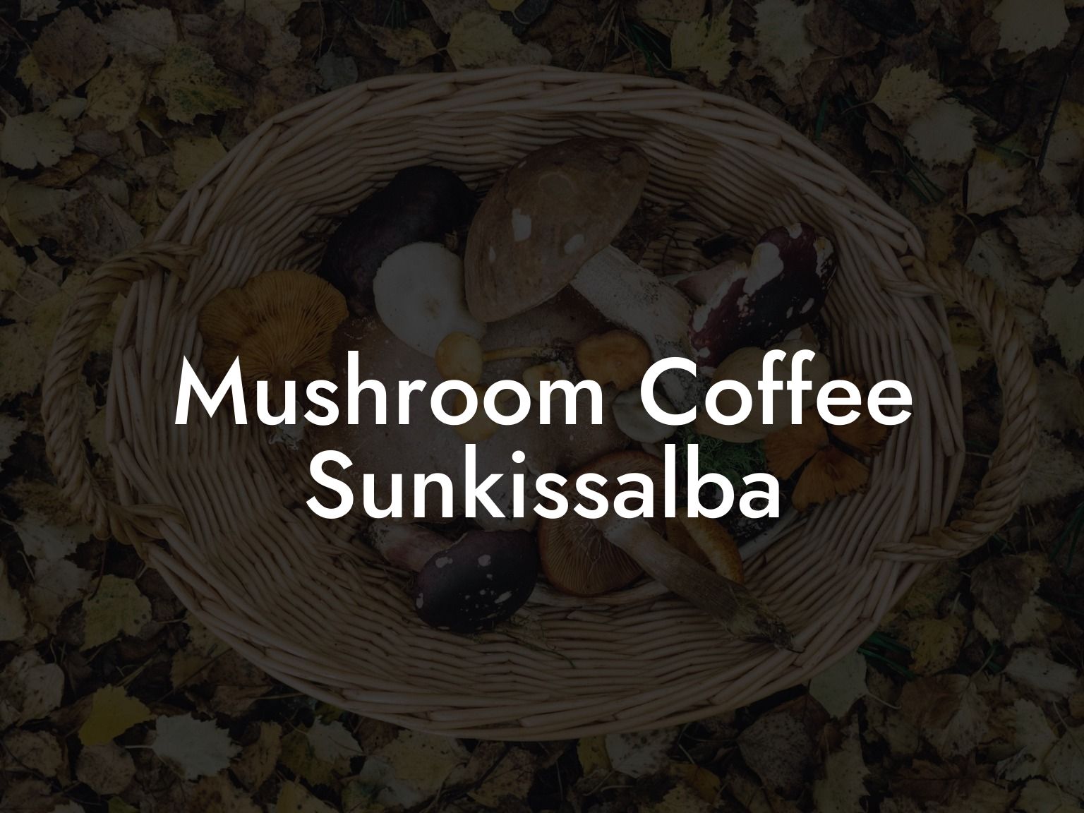 Mushroom Coffee Sunkissalba