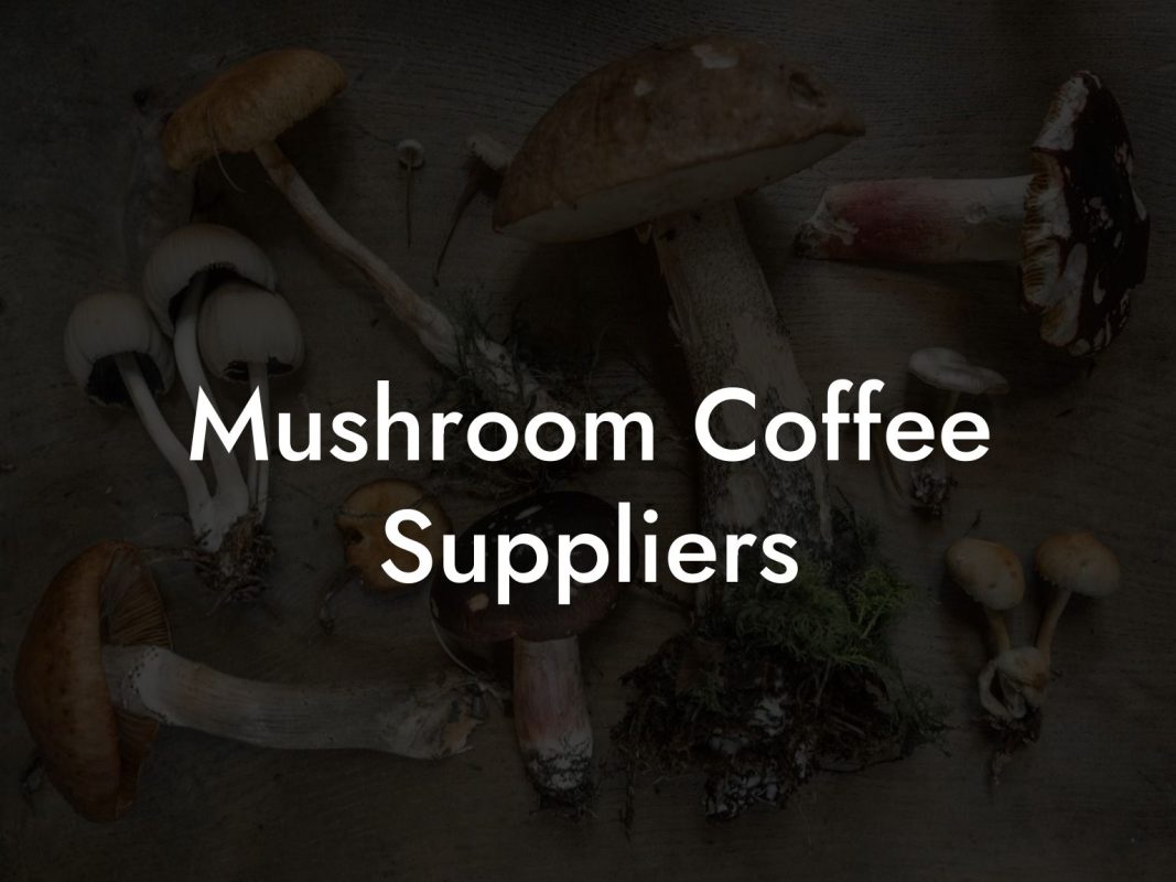 Mushroom Coffee Suppliers