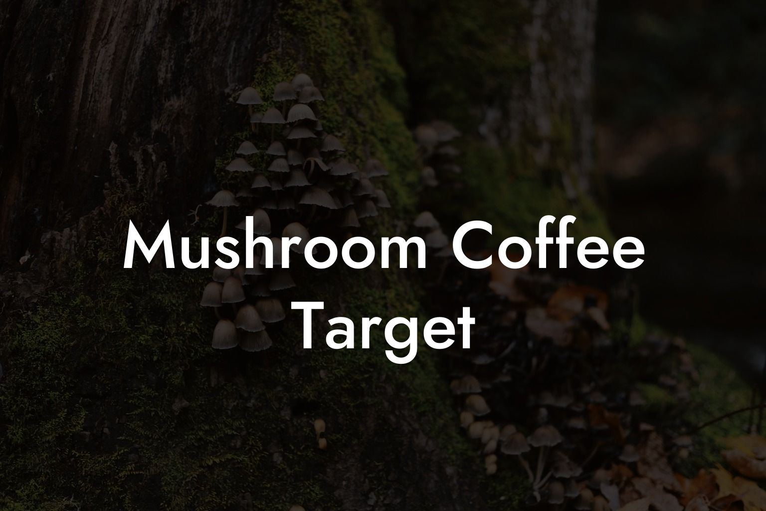 Mushroom Coffee Target