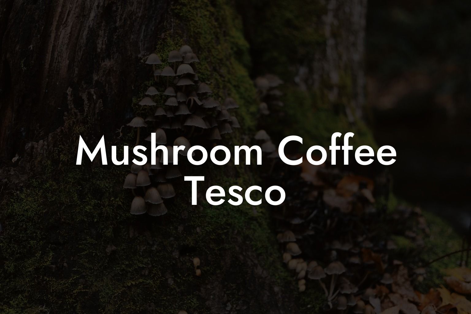 Mushroom Coffee Tesco