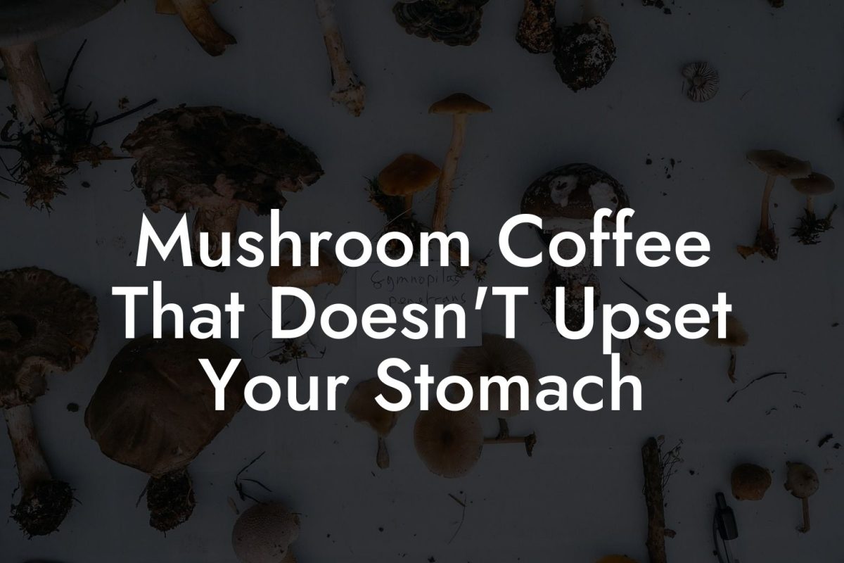 Mushroom Coffee That Doesn'T Upset Your Stomach