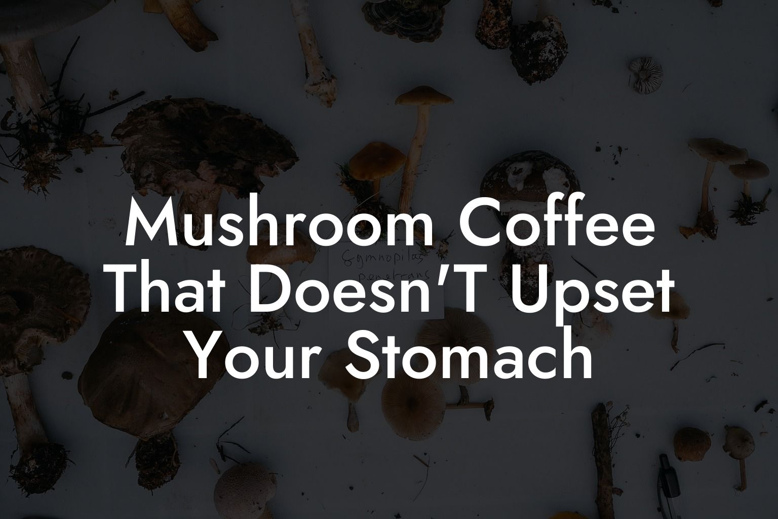 Mushroom Coffee That Doesn'T Upset Your Stomach