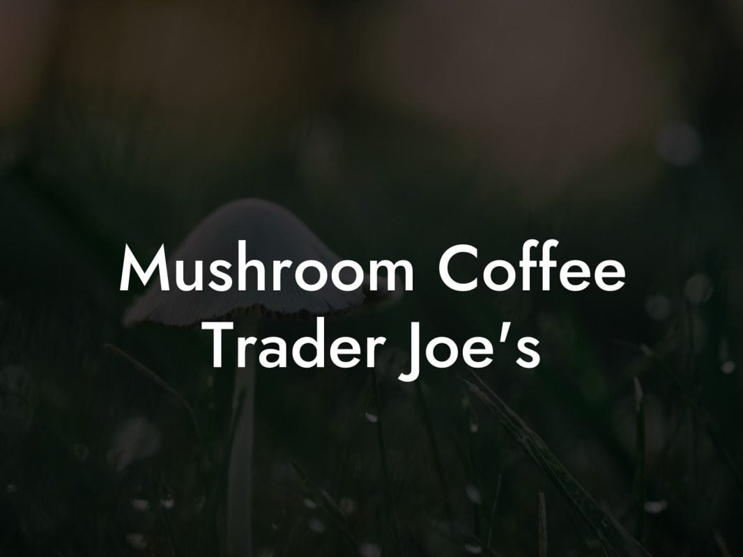 Mushroom Coffee Trader Joe's