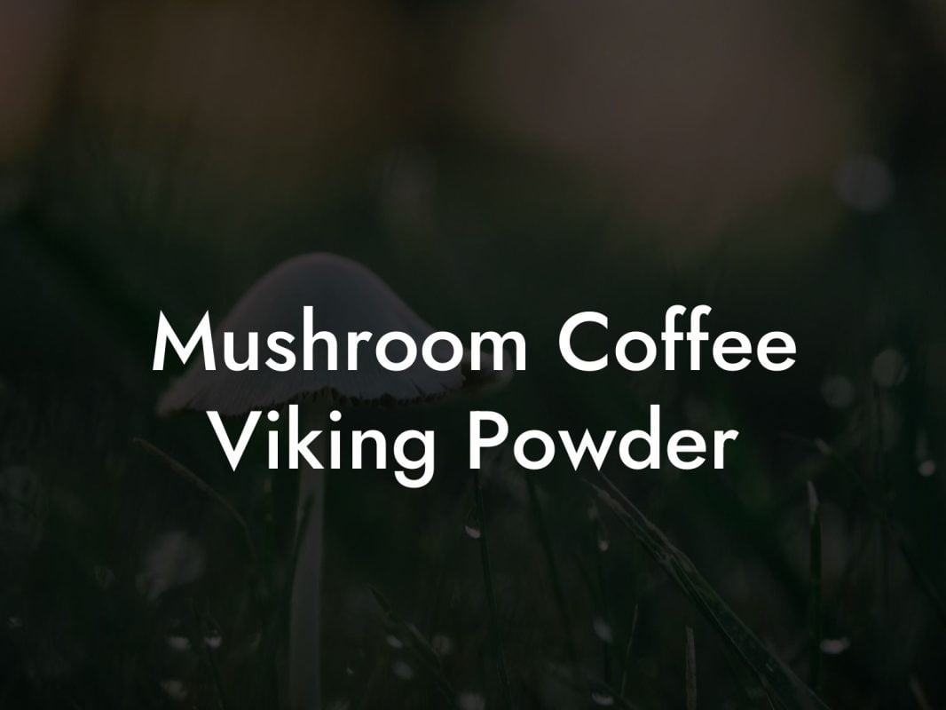 Mushroom Coffee Viking Powder