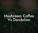 Mushroom Coffee Vs Dandelion