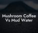 Mushroom Coffee Vs Mud Water