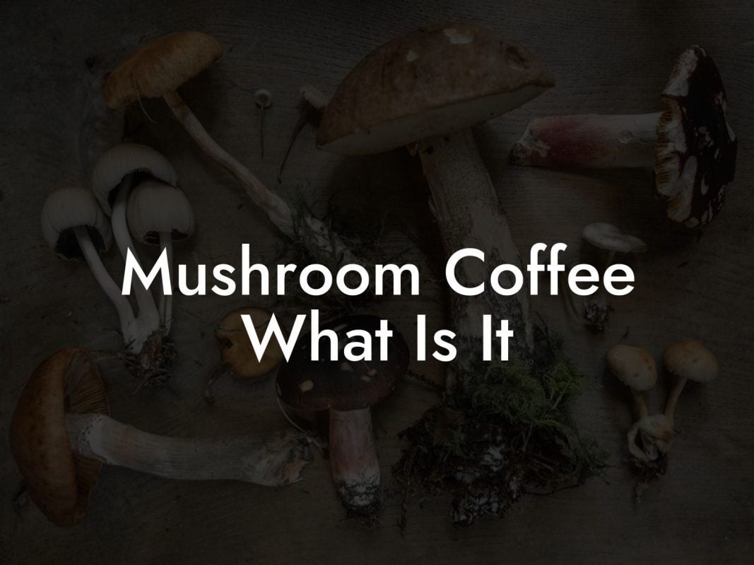 Mushroom Coffee What Is It