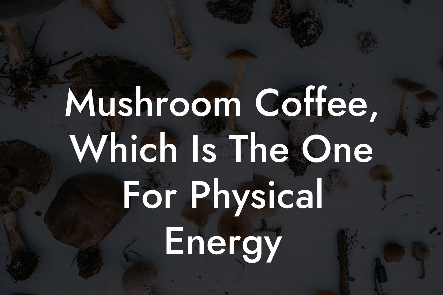 Mushroom Coffee, Which Is The One For Physical Energy