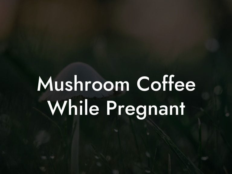 Mushroom Coffee While Pregnant Mr Mushroom