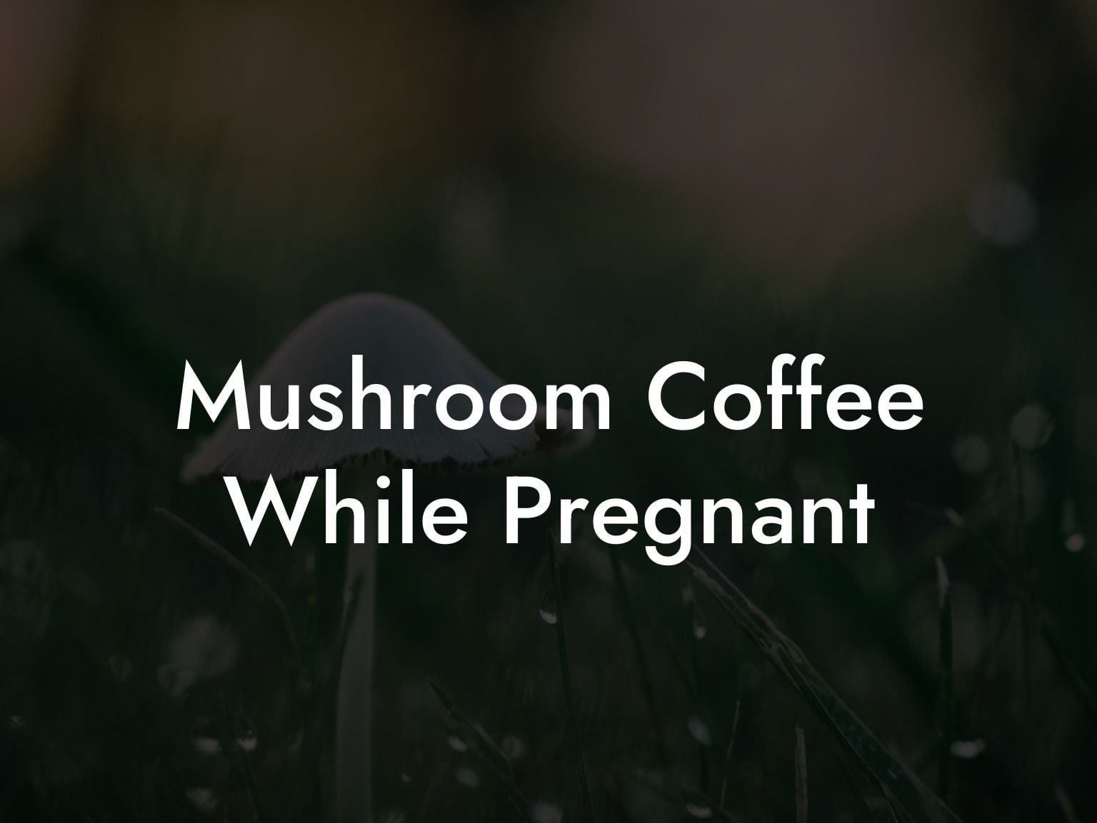 Mushroom Coffee While Pregnant