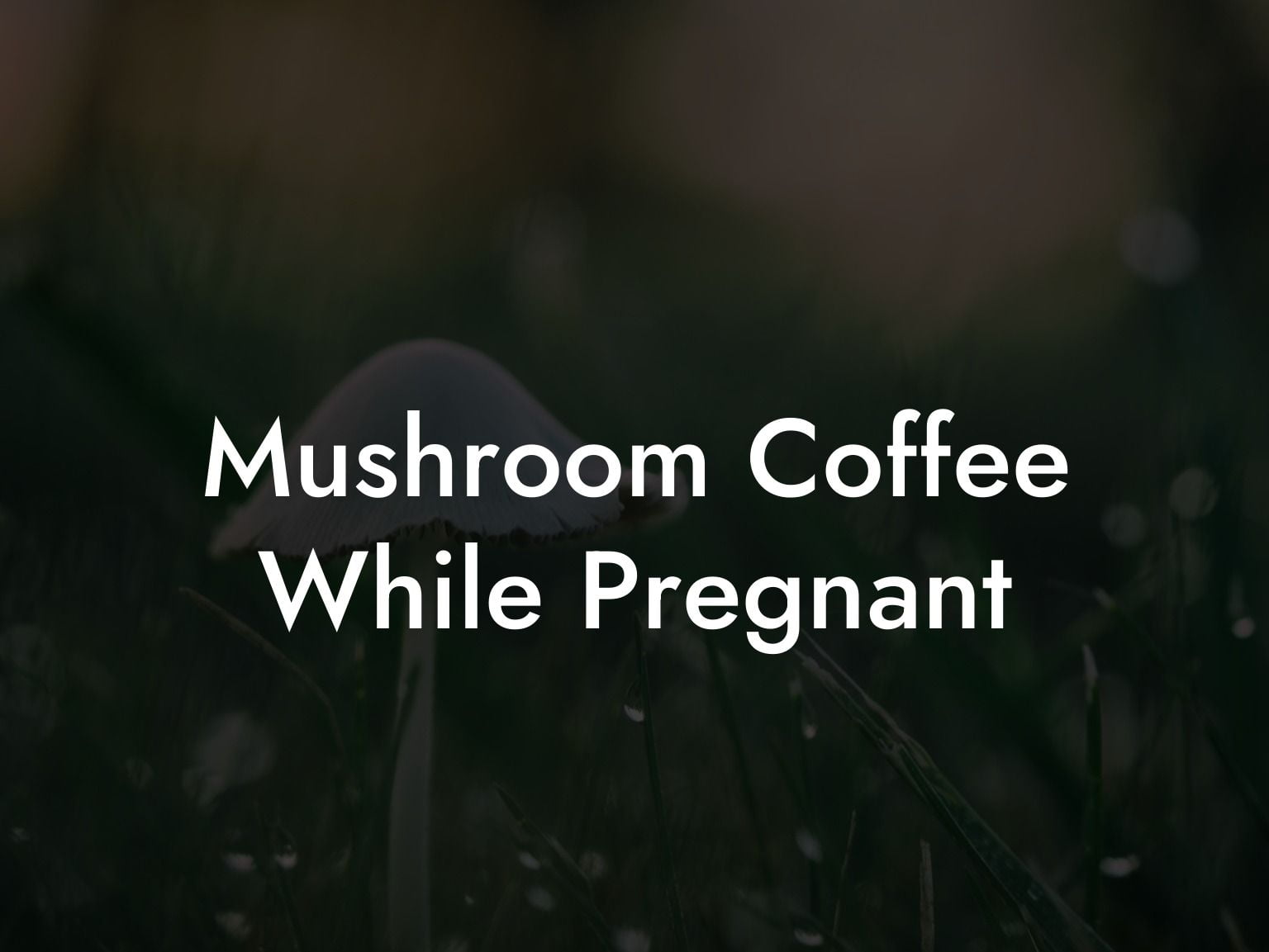 mushroom-coffee-while-pregnant-mr-mushroom