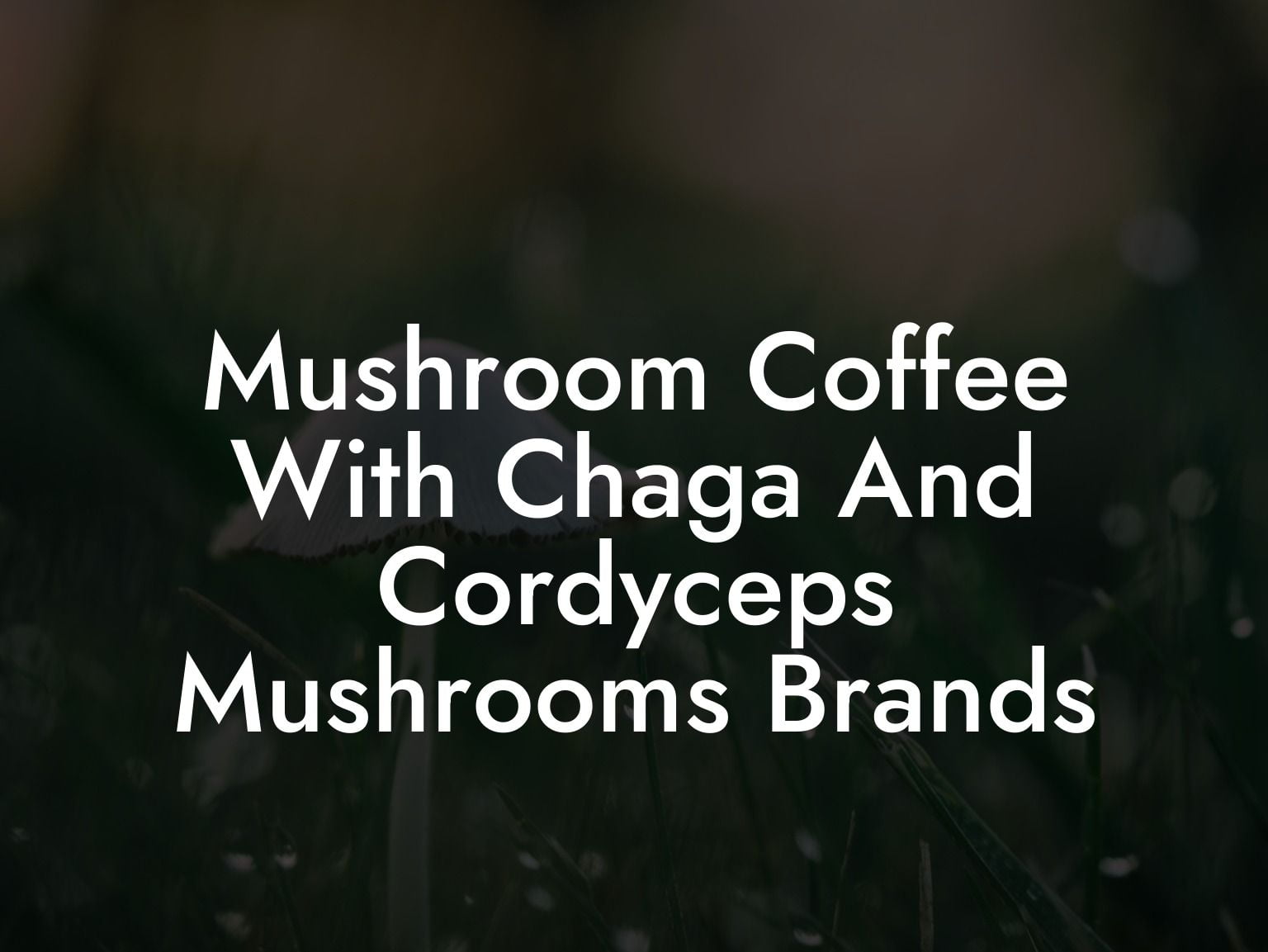 Mushroom Coffee With Chaga And Cordyceps Mushrooms Brands