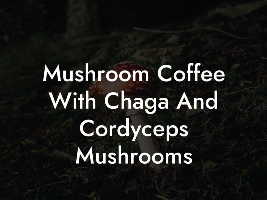 Mushroom Coffee With Chaga And Cordyceps Mushrooms