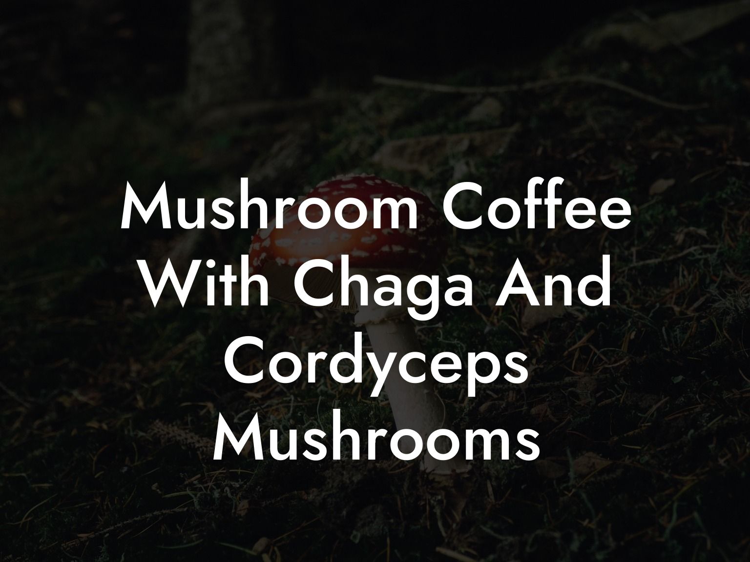 Mushroom Coffee With Chaga And Cordyceps Mushrooms