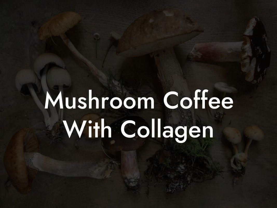 Mushroom Coffee With Collagen