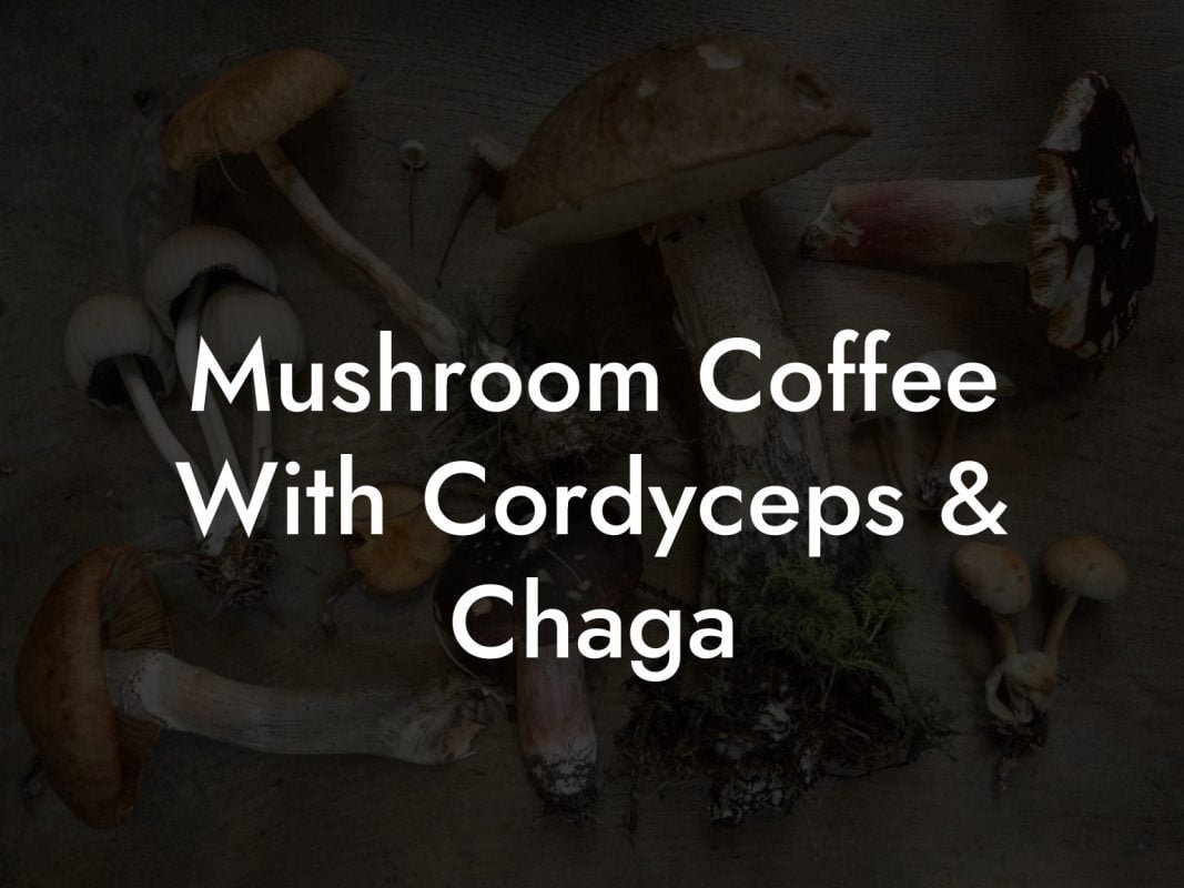 Mushroom Coffee With Cordyceps & Chaga