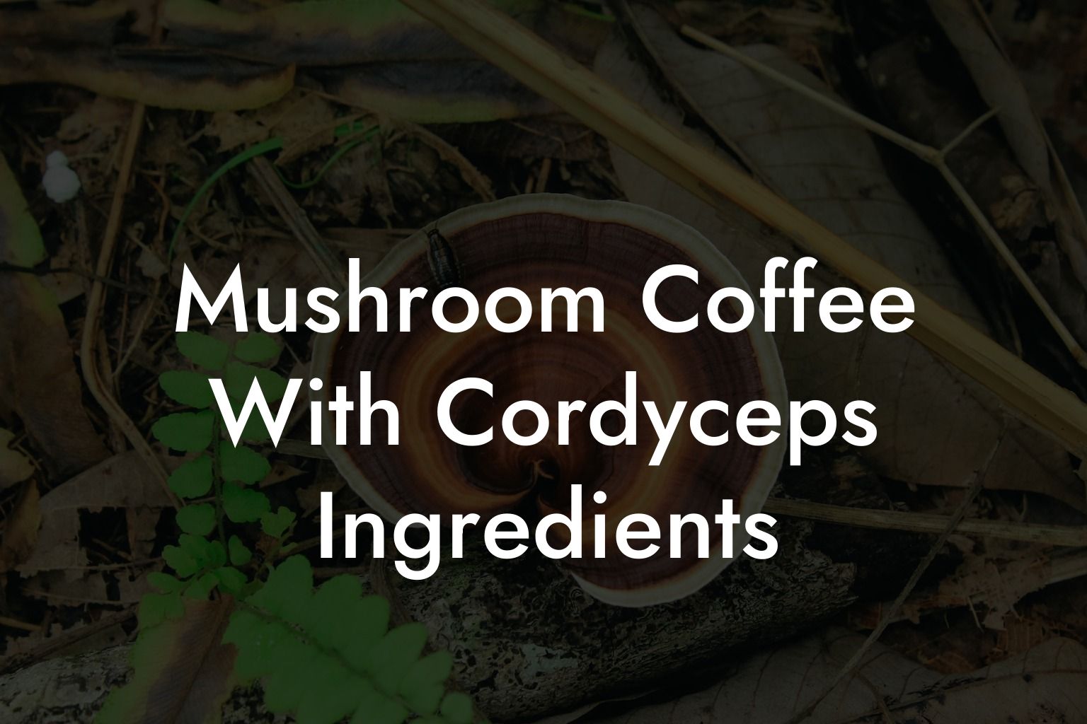 Mushroom Coffee With Cordyceps Ingredients