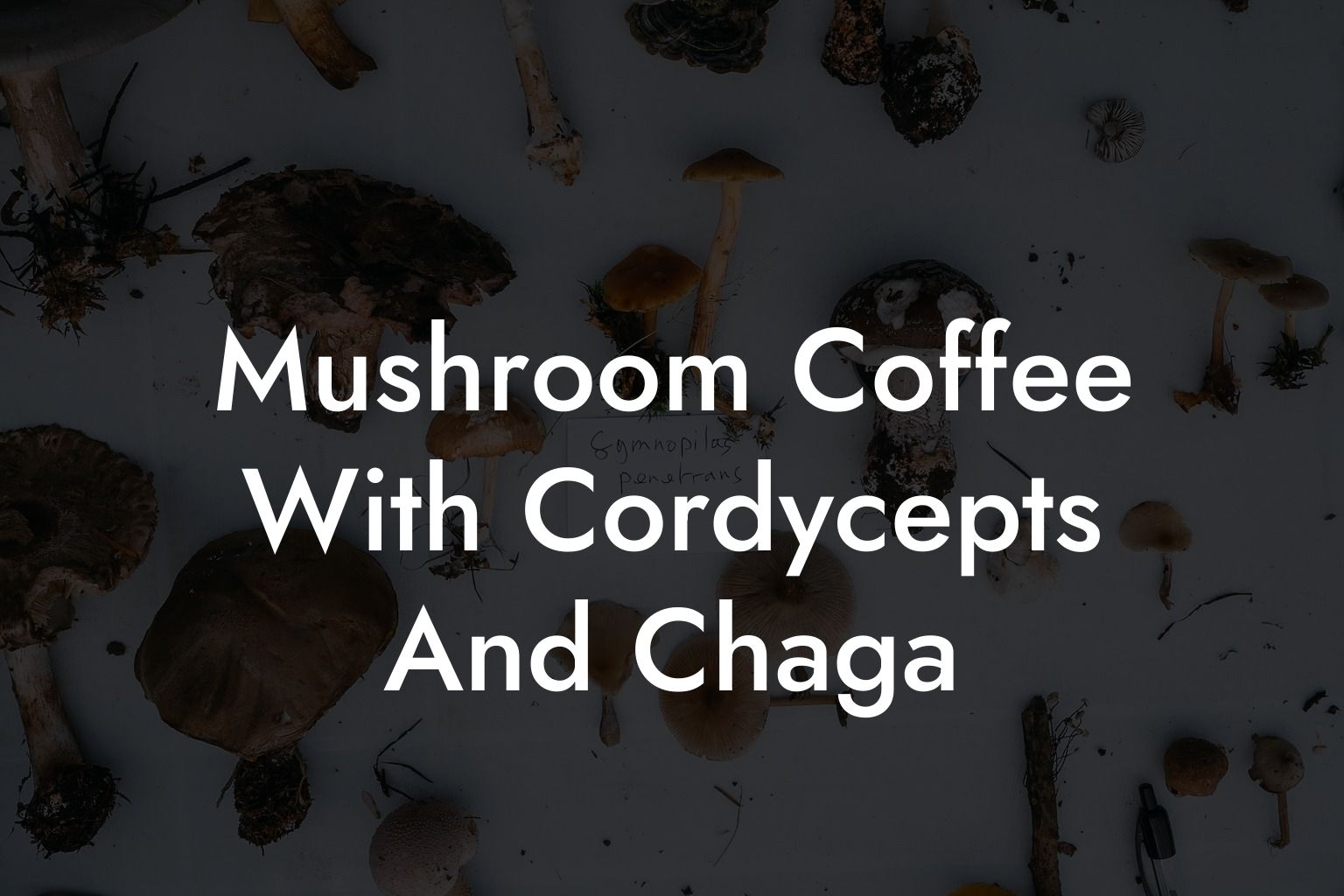 Mushroom Coffee With Cordycepts And Chaga