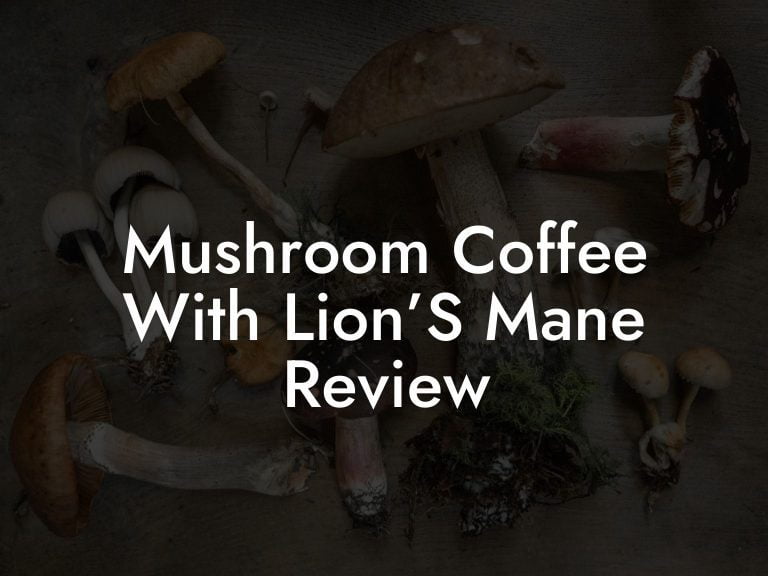 Mushroom Coffee With Lion’S Mane Review Mr Mushroom