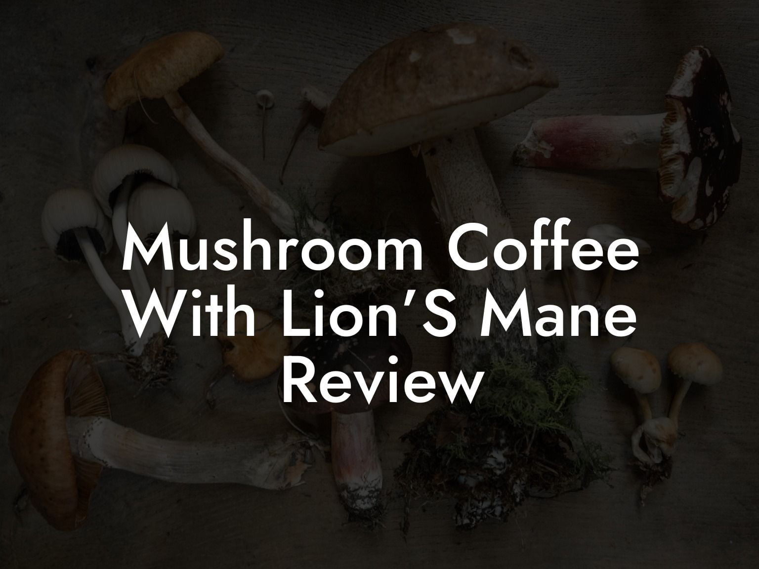 Mushroom Coffee With Lion’S Mane Review