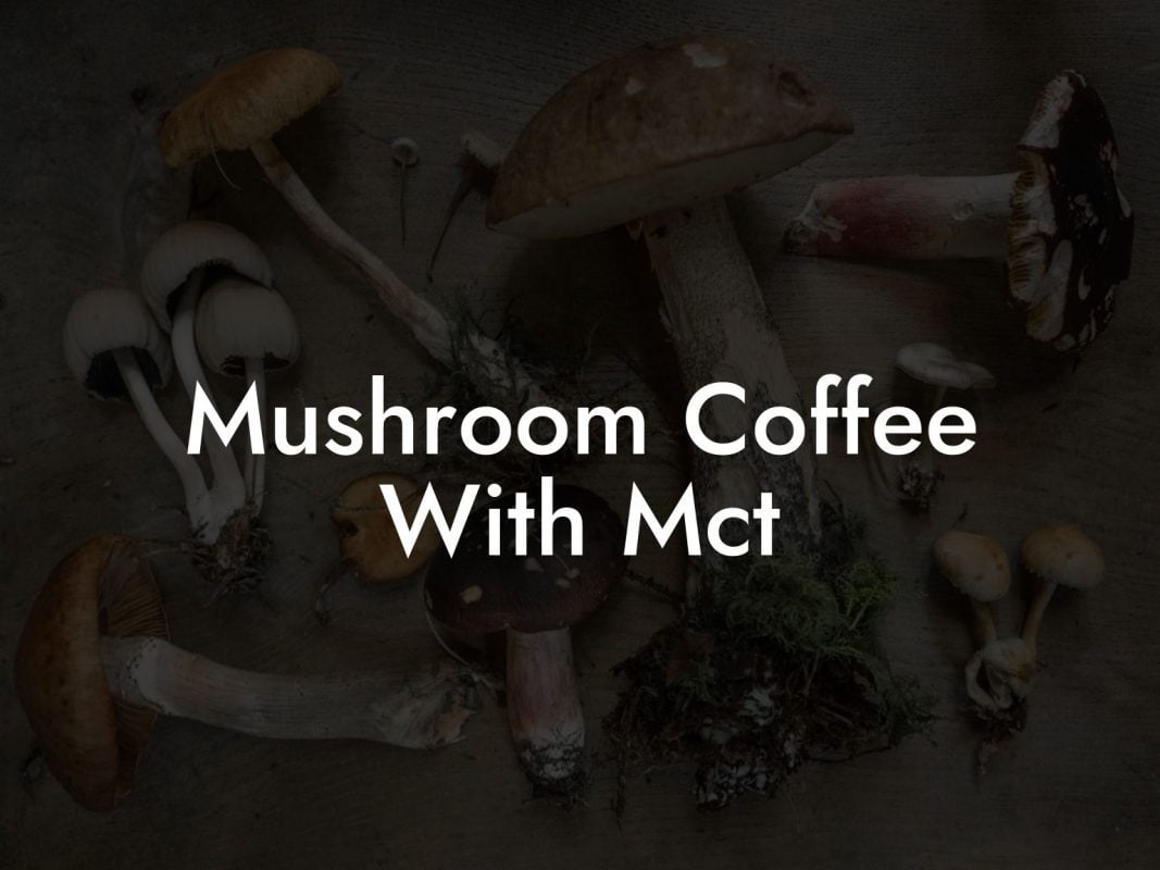 Mushroom Coffee With Mct