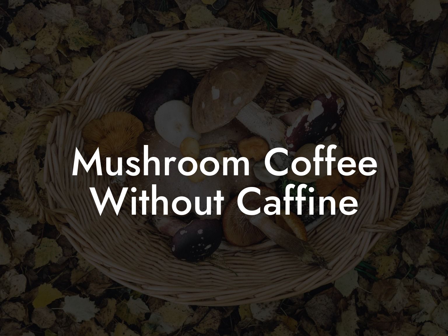 Mushroom Coffee Without Caffine