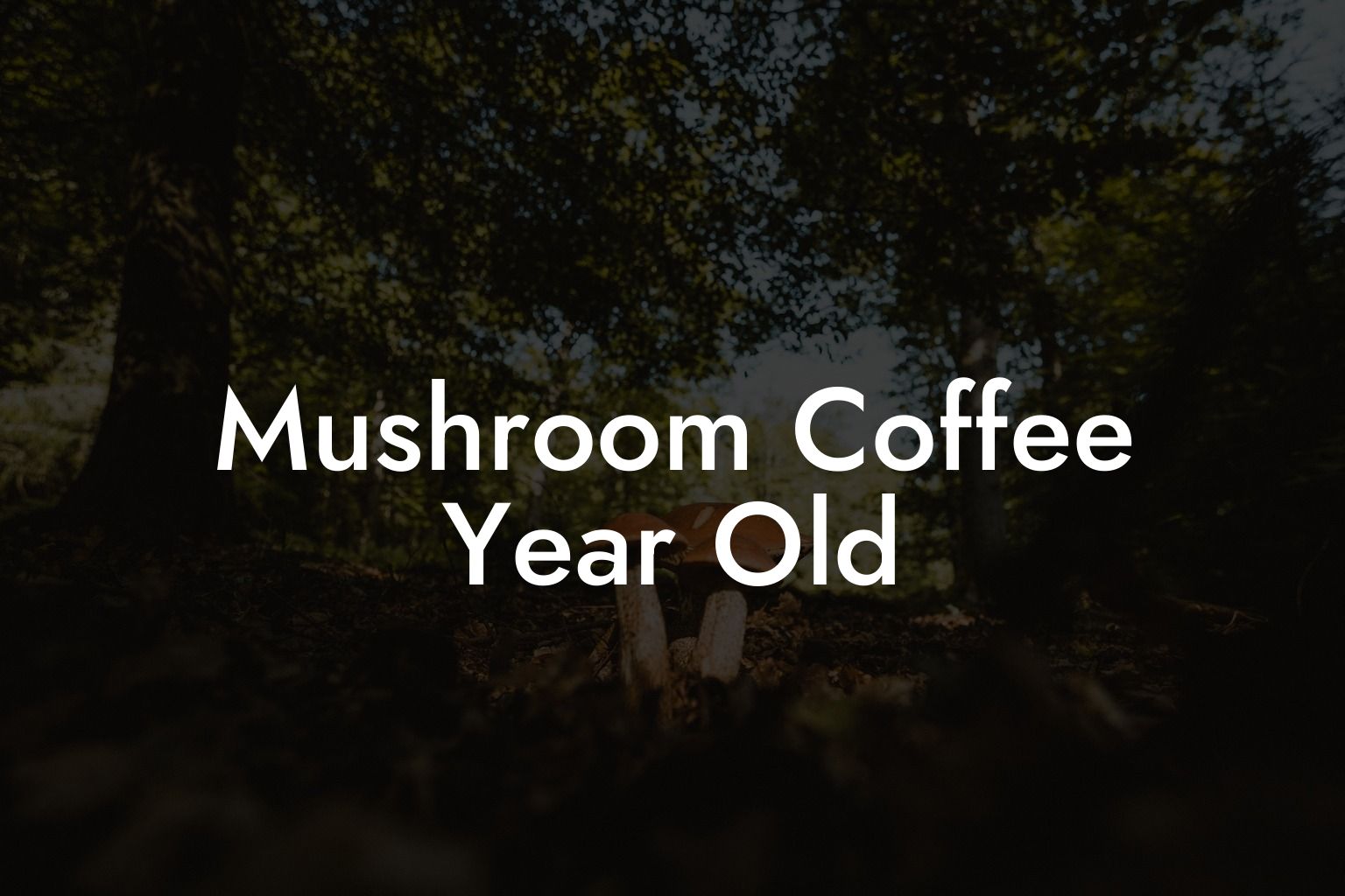Mushroom Coffee Year Old