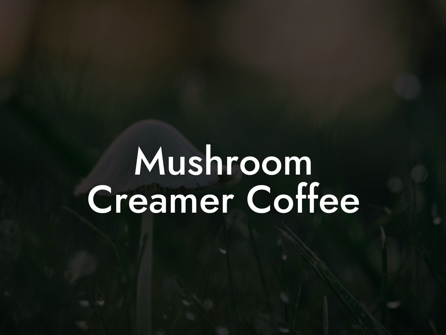 Mushroom Creamer Coffee