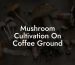Mushroom Cultivation On Coffee Ground